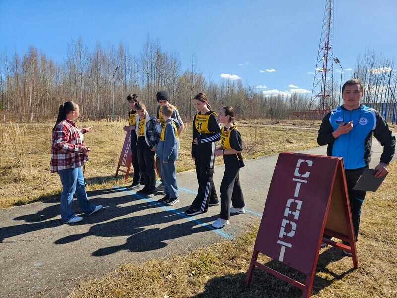 Легкоатлетический кросс.