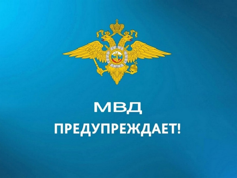 Лже-брокеры.