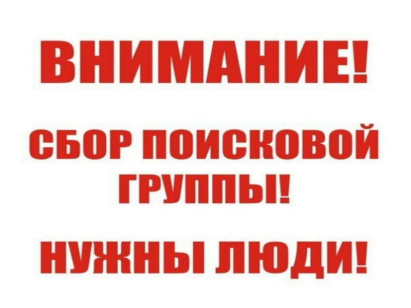 Внимание поиск..