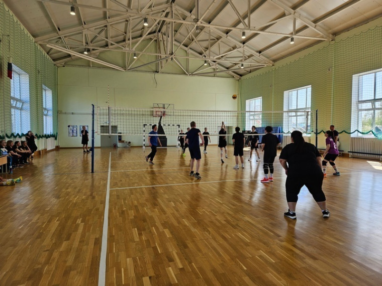 Турнир по волейболу.. Турнир по волейболу..